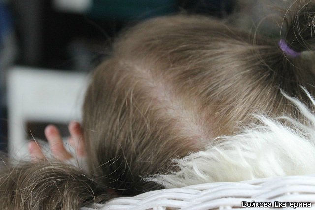 Кукла реборн Frida от Karola Wegerich в моём исполнении