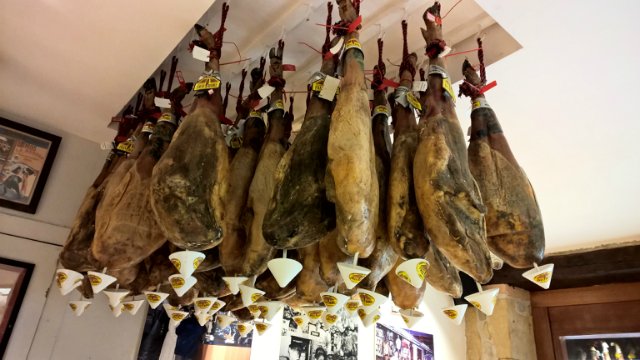 Пегий пёс, бегущий краем моря