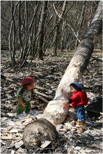 Небольшой поход Вихтелят на Ирдынские болота