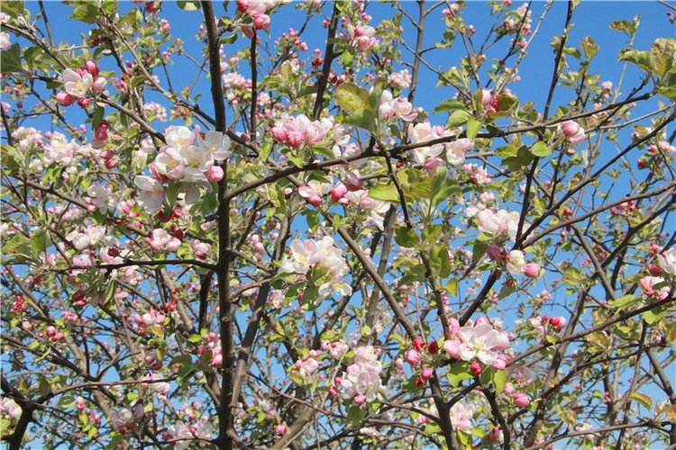 Субботний вояж. Заключительная часть