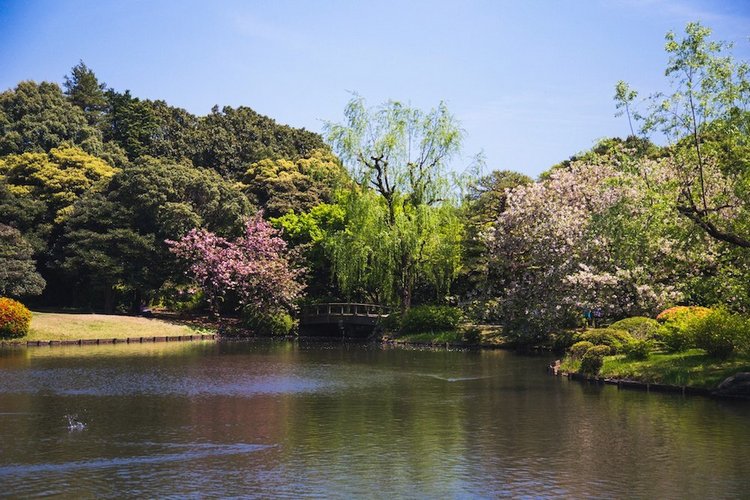 Япония моими глазами (часть 3. Китакюсю и Токио.)