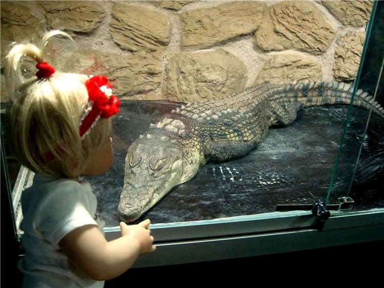 Лето. Солнце. Море. Всё смешалось - звери, куклы. Часть2 | Бэйбики Лето. Солнце. Море. Всё смешалось - звери, куклы. Часть2