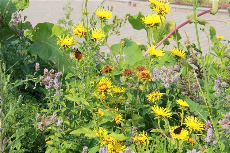 Старицкий православный фотофестиваль. Старицкий Свято-Успенский монастырь