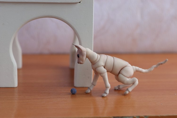 Кот играет с мячиком — Разные куклы BJD (БЖД): редкие бренды