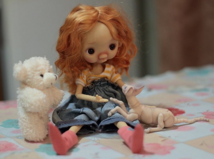 Впервые на Бэбиках - Смешная и милая Anako by Dododolls (фото 8)