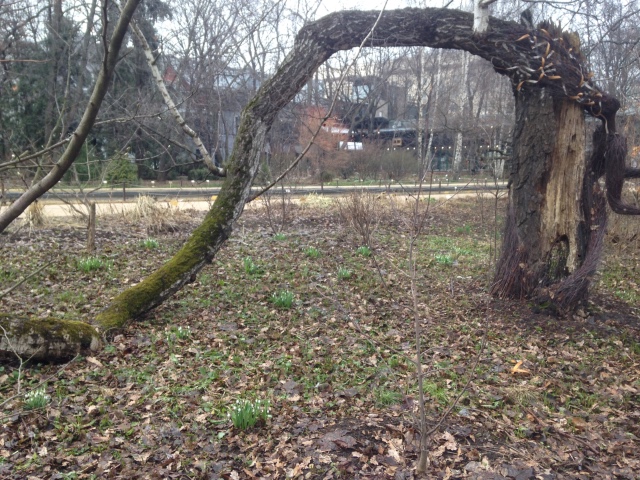 Фотосессия куклы ГДР Косолапки в Аптекарском огороде