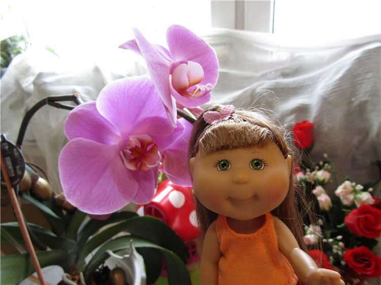 Новый дом для Лилочки — Куклы Cabbage Patch Kids (Капустки): винтаж 80