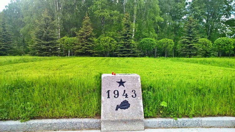 Я не участвую в войне — она участвует во мне