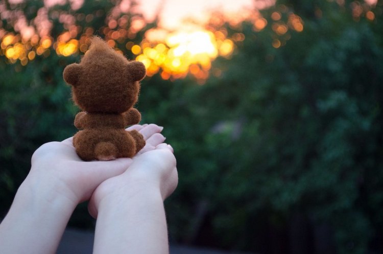 Маленький мишка по имени Тимка (фото 8)