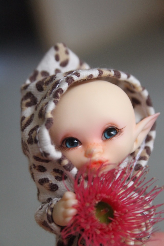 Осень в Австралии — Одежда и обувь для кукол BJD (БЖД): 1/3