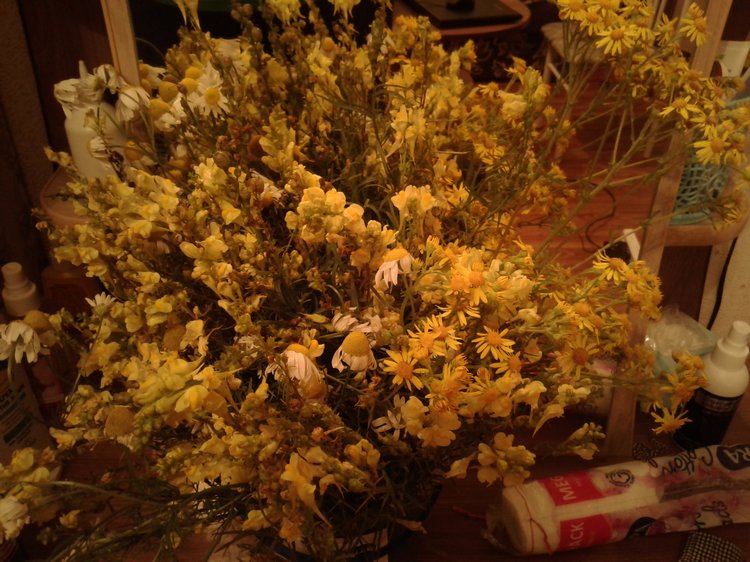 Псков: из лета в лето. Прогулки по городу и куклы