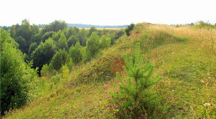 Тверской Водопад — Туризм и путешествия: фотоотчеты из поездок