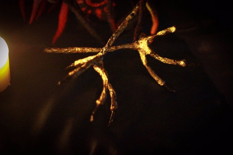 Огненный феникс - Начало новой жизни (фото 6)