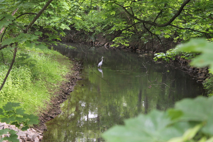 По Германии: зоопарк Лейпцига, часть 1