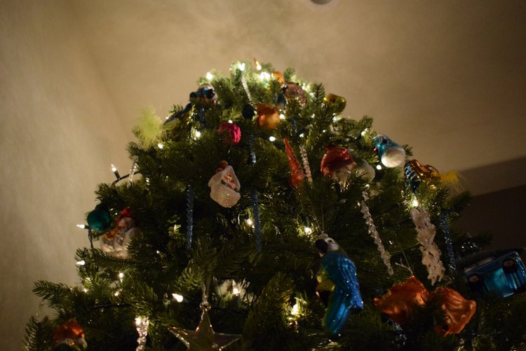 Болталка и разговоры обо всем: жизнь