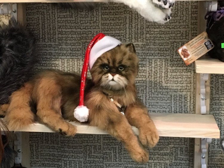 Выставка "Hello Teddy" на Тишинке - мой взгляд - часть 1