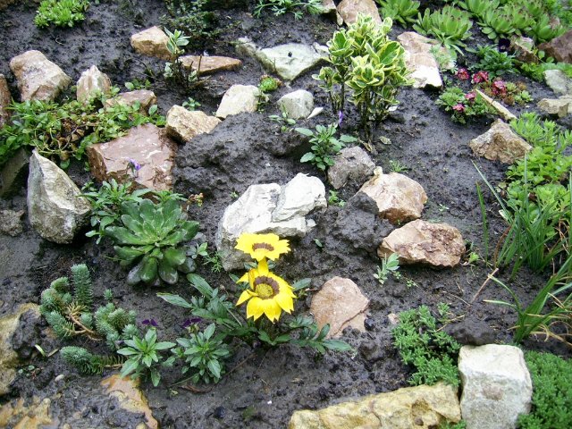 Прогулка между каплями дождя :) Коллекционная кукла Пиппина от Сюзан Липпл (фото 10)