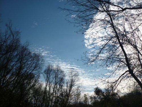 Золотая осень. Старый Оскол, Белгородская область