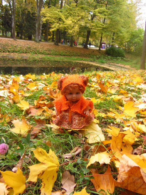 Забреду сегодня в парк осенний
