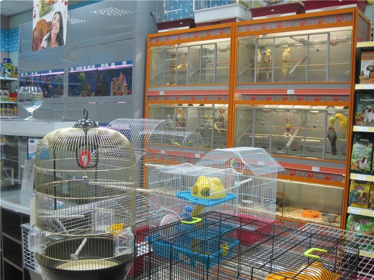 Анжела — Интересные игрушки и фигурки (разное): редкие (фото 7)