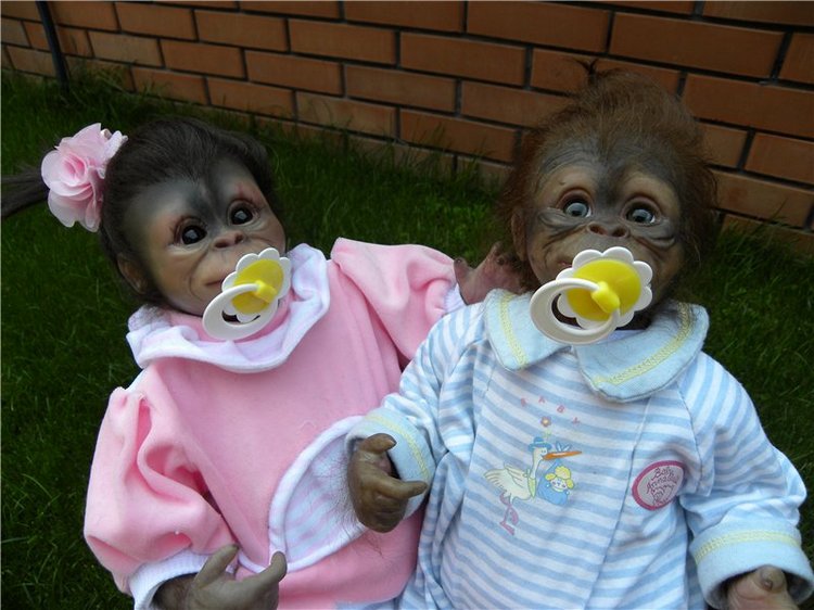 Необычное пополнение в моем доме