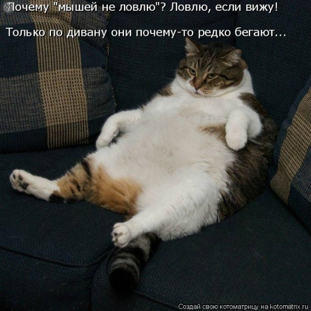 Просто добавь улыбку или пятничный девиз