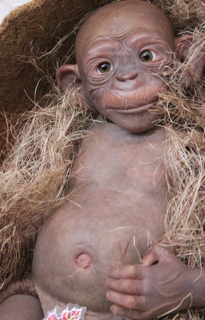 Гога, он же Гоша,он же Гора, он же Жора, здесь проживает? кукла реборн Элины Кудрявцевой (фото 2)