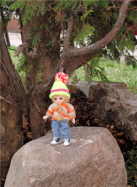 Дилька ищет дом (часть первая) (фото 5)