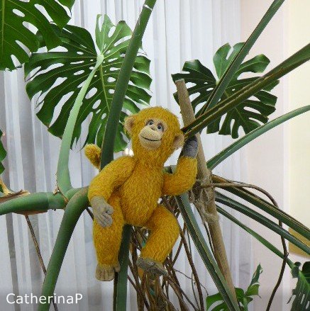 Мартышка и очки — Текстильные игрушки и примитивы: кофейные