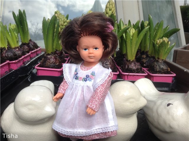 Маленькие садовники или весна в Аптекарском огороде (фото 10)