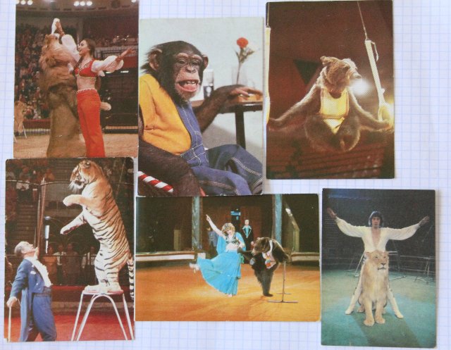 Моя коллекция календариков:) | Бэйбики Моя коллекция календариков:) (фото 7)