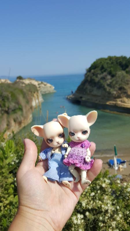 Новое путешествие Панг-Панга (фото 8)