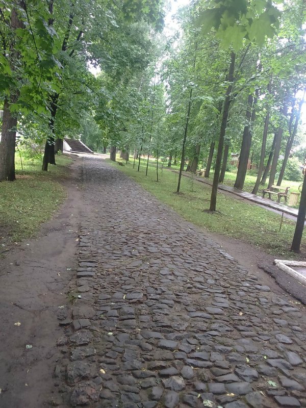 Путешествие в город Сарапул. Часть 1 - Дача Башенина (фото 5)