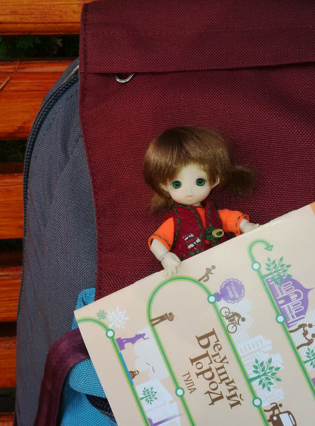 "Бегущий город" (Тула) — Куклы Brownie (Брауни) Felix Doll: Tiny BJD (БЖД) (фото 2)
