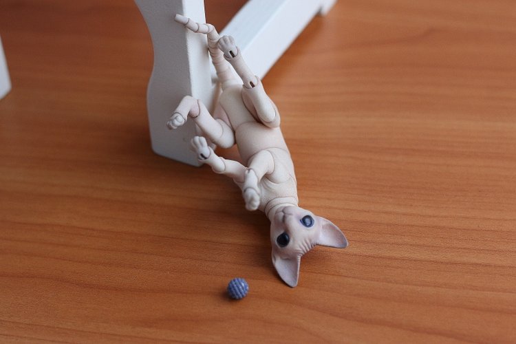 Кот играет с мячиком — Разные куклы BJD (БЖД): редкие бренды