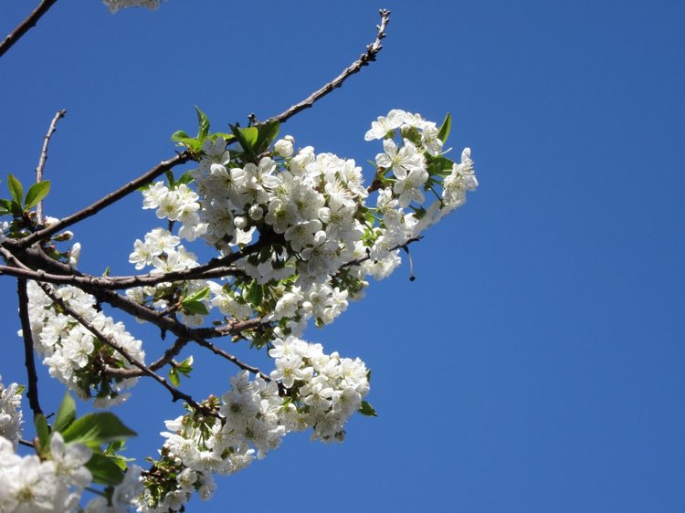 И вновь Хелена посещает логопедический кабинет... а заодно и рассматривает садик