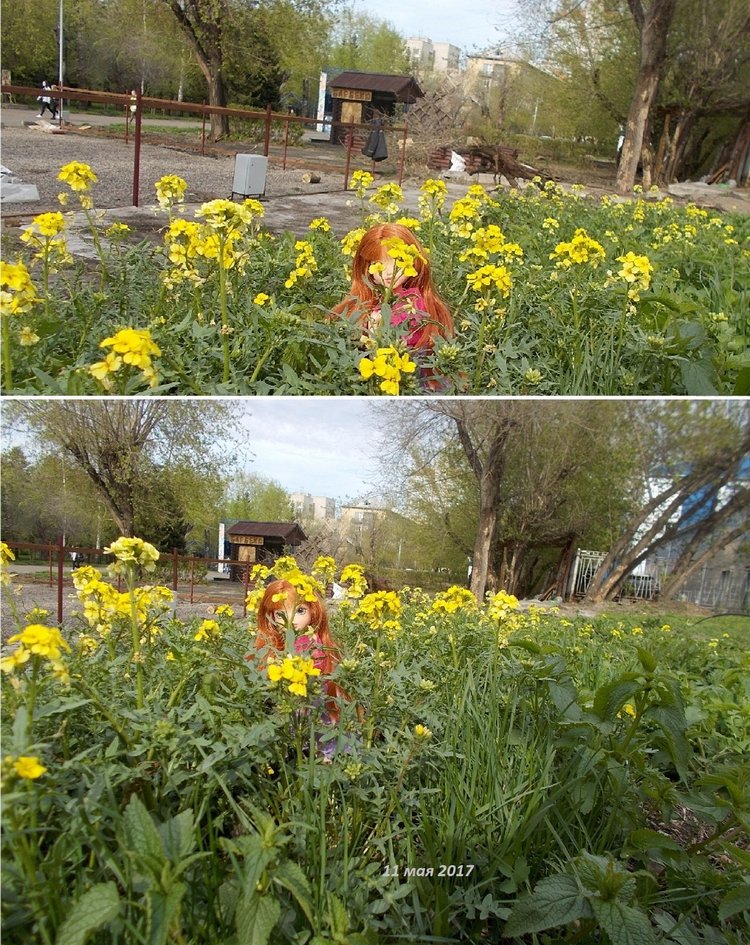 Городские зарисовки 2017. Май (фото 7)