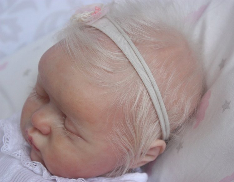 Малышка реборн Evangelina