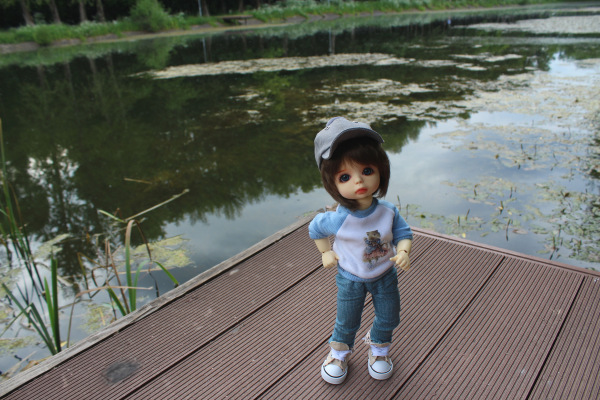 У Московского пруда. Или куда деваются утки