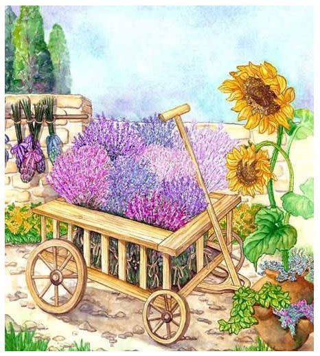 Peggy Turchette и ее любимая Анна Павлова в куклах Роберта Тоннера