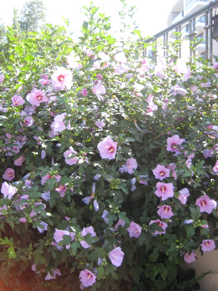 Вот такая вот Болгария — Туризм и путешествия: фотоотчеты из поездок