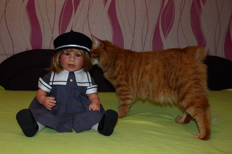 Сказочная девочка Алиса Classic Charm Lee Middleton doll (фото 9)