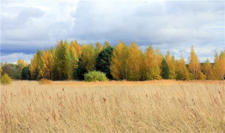 Тверской Водопад — Туризм и путешествия: фотоотчеты из поездок