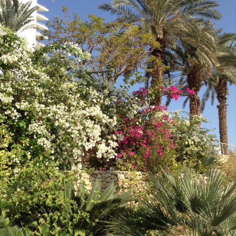 Белое солнце пустыни. Ч.1 Дорога к морю