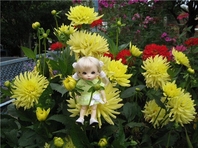 Маленькая дачница! Пукифи Анте Элис | Бэйбики Маленькая дачница! Пукифи Анте Элис