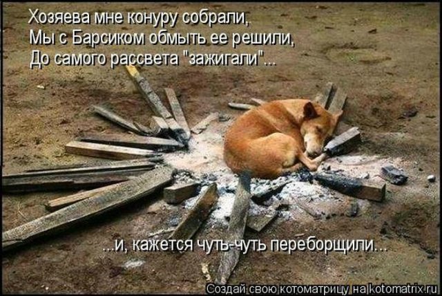 Понедельник - день тяжёлый | Бэйбики Понедельник - день тяжёлый