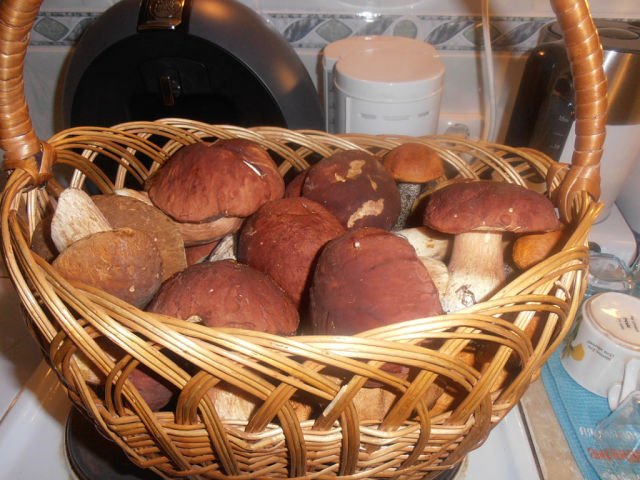 Ярмарка АгроРусь 2014 в Петербурге | Бэйбики Ярмарка АгроРусь 2014 в Петербурге (фото 8)