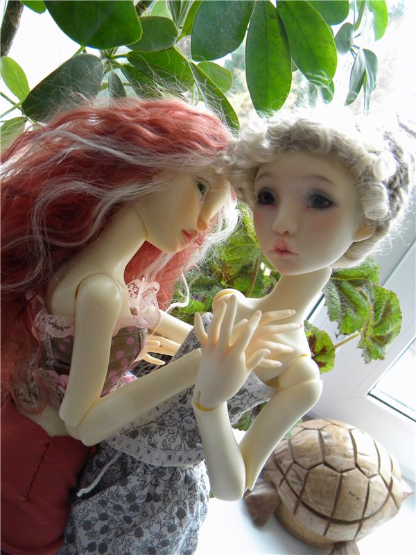 Теперь они вместе. Мои Лилликэтки Constantine и Ninon (фото 7)