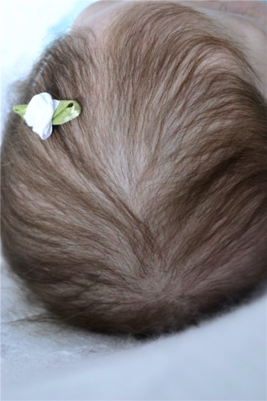 Мои малыши реборн — Куклы Реборн (Reborn): работы мастеров