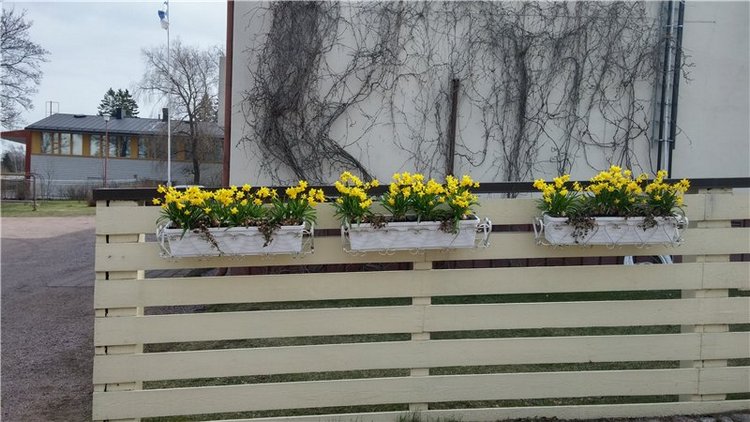 Дрюшка-путешественник! Весенние каникулы Финляндия, май